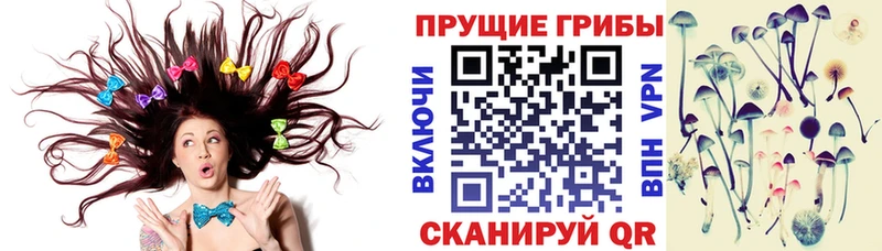 Купить закладки  Верхотурье  Псилоцибиновые грибы Cubensis 