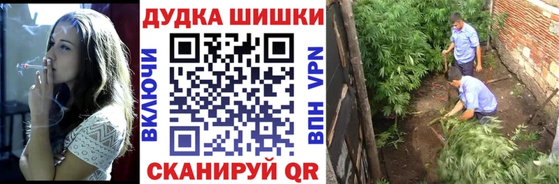 Бошки Шишки гибрид  Купить закладки  Верхотурье 